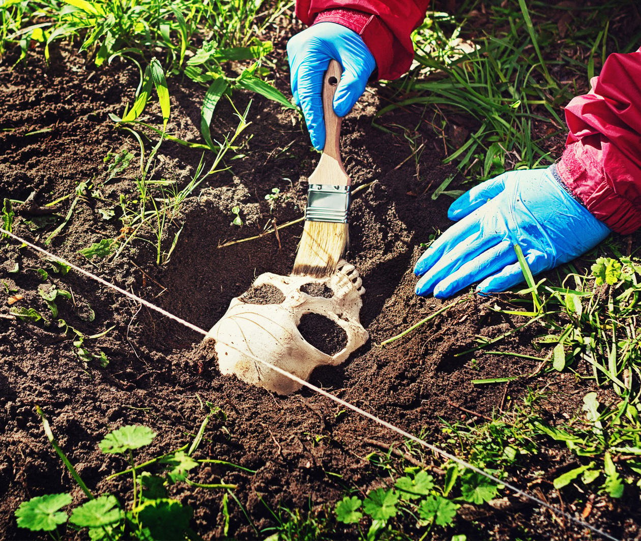 A person wearing blue gloves and red clothing brushing away dirt from a partially buried cast of a human skull.