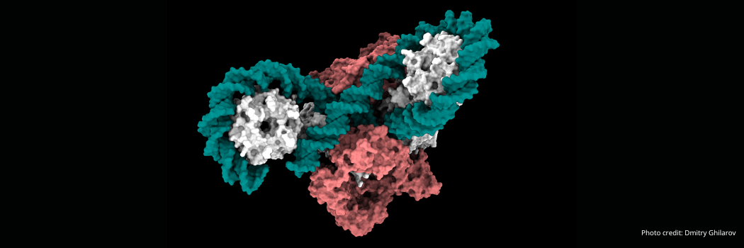 Graphic of DNA