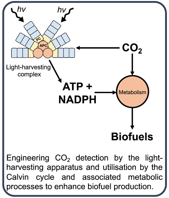 GREEN Biofuels PhD project