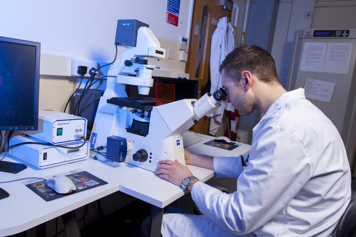 Student using Zeiss Apotome Axiovert 200M Microscope