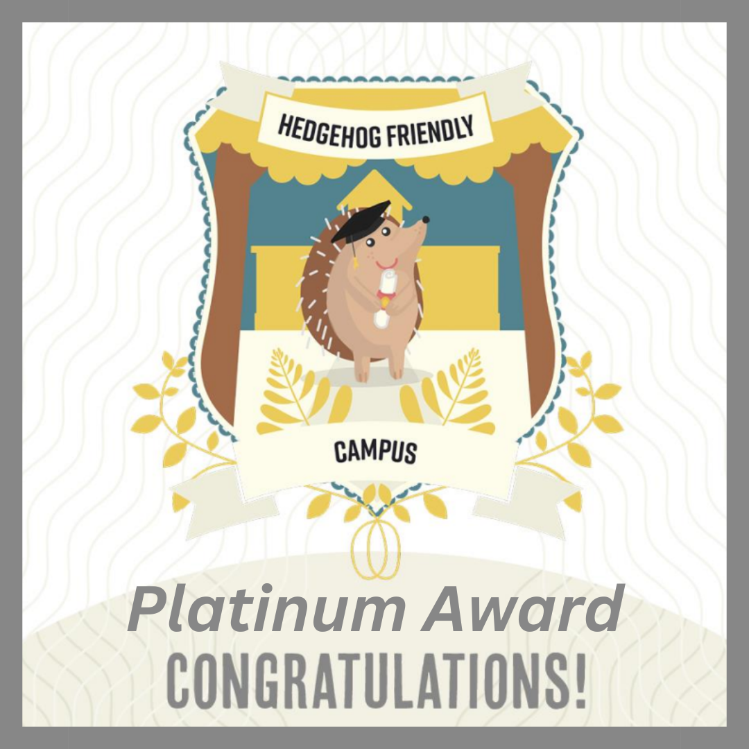 Platinum hedgehog friendly award July