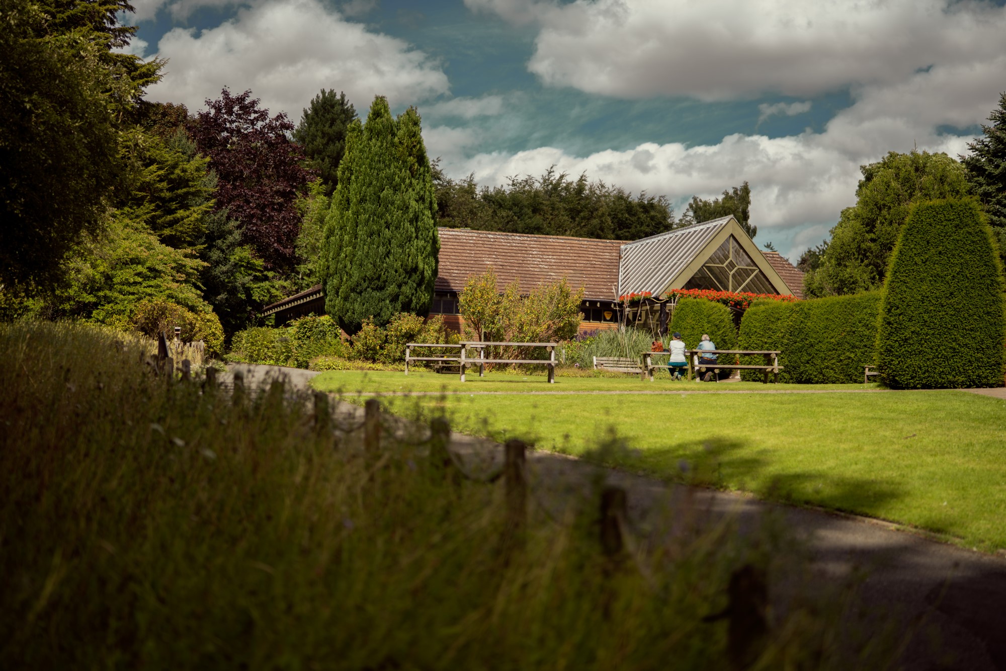 Botanic Garden Visitor Centre in the background with a large area of grass, a path, and visitors sitting on wooden benches in the foreground.