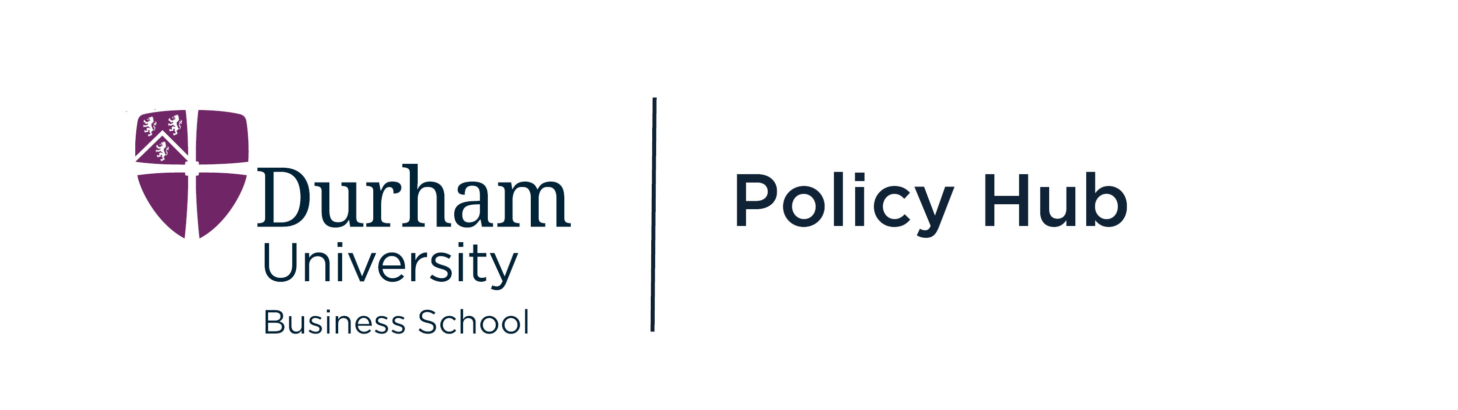 DUBS Policy Hub logo Colour