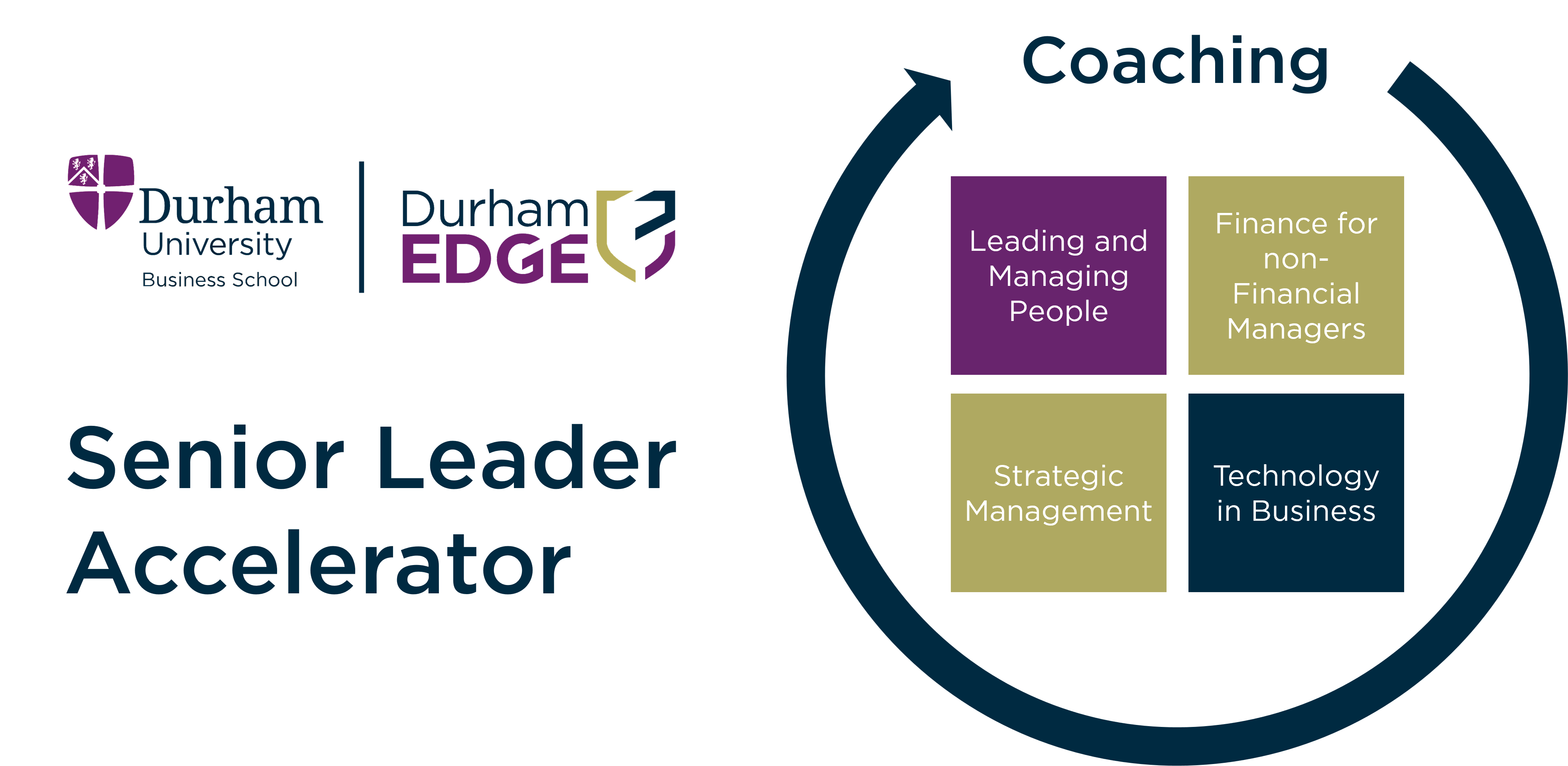 Graphic representing senior leader accelerator pathway