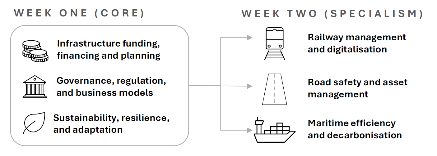 Schematic of module structure for STEP