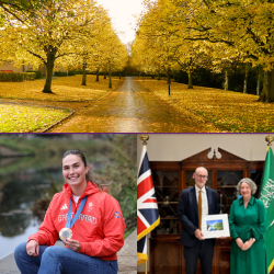 A collection of images taken from some of November's Newswire stories