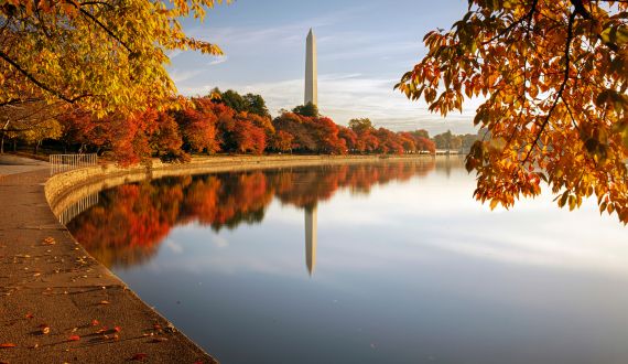 Washington D.C