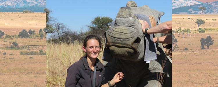 Melissa Dawson with a rhino in a wildlife reserve