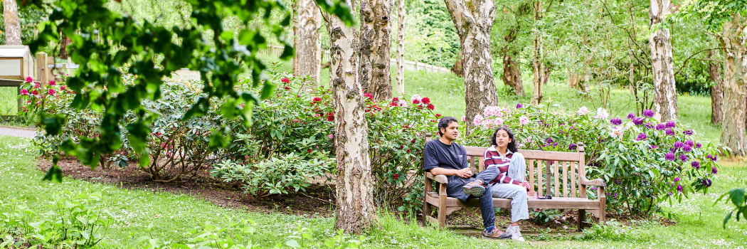 Two students sitting on a bench in woodland