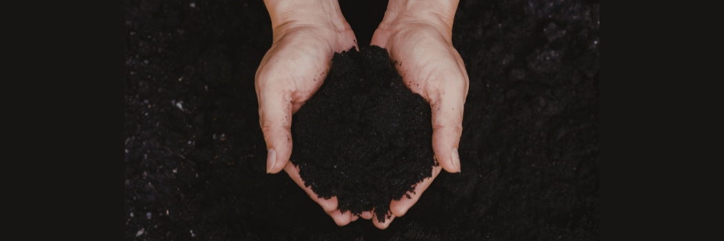 Two cupped hands holding a pile of soil.