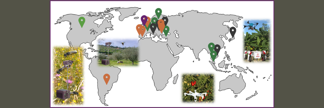 The pictures show various crops and ground and aerial robots, and wild bees, flowers, and cameras to record bees.
