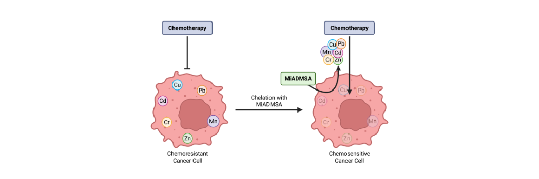 several metals can work together inside tumour cells, making cancer treatment far less effective.