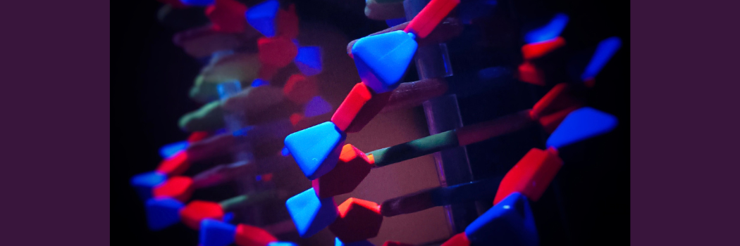 A computer generated image of a red and blue DNA strand with it's mirror image behind it