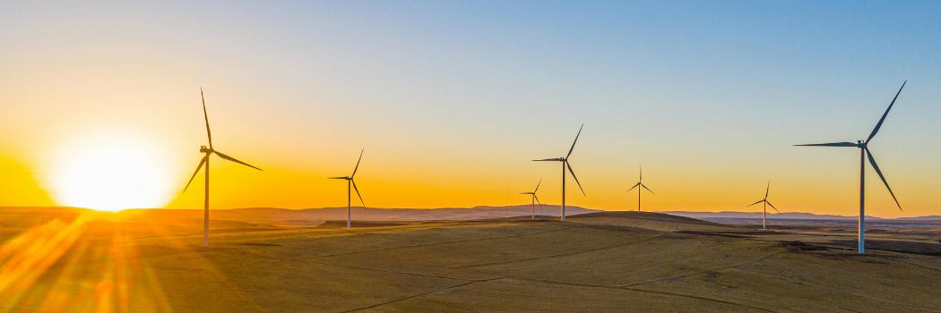 Wind turbines in a field as the sun sets on the horizon behind them.