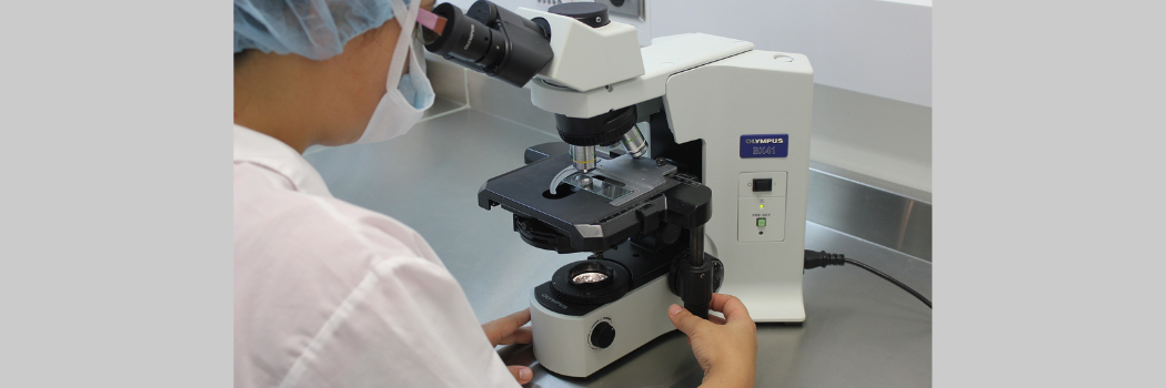 A person looking through a microscope in a laboratory