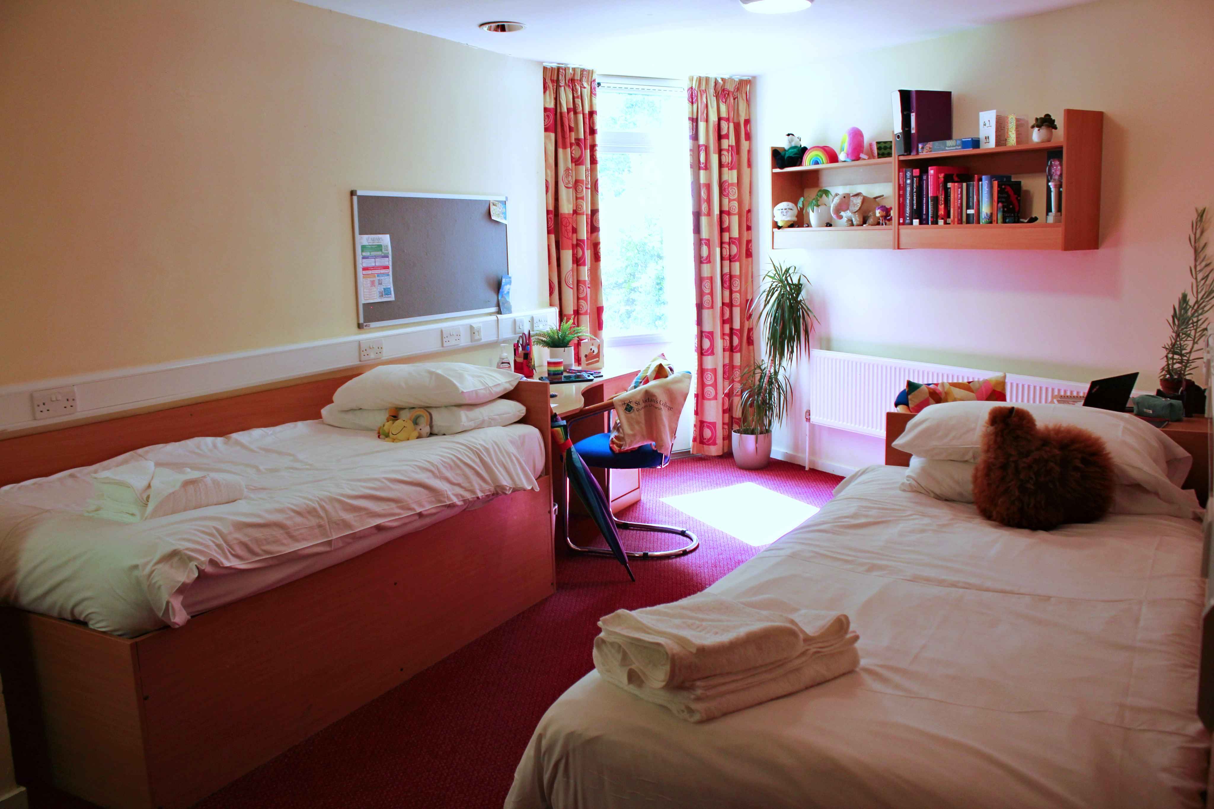 Shared Accommodation