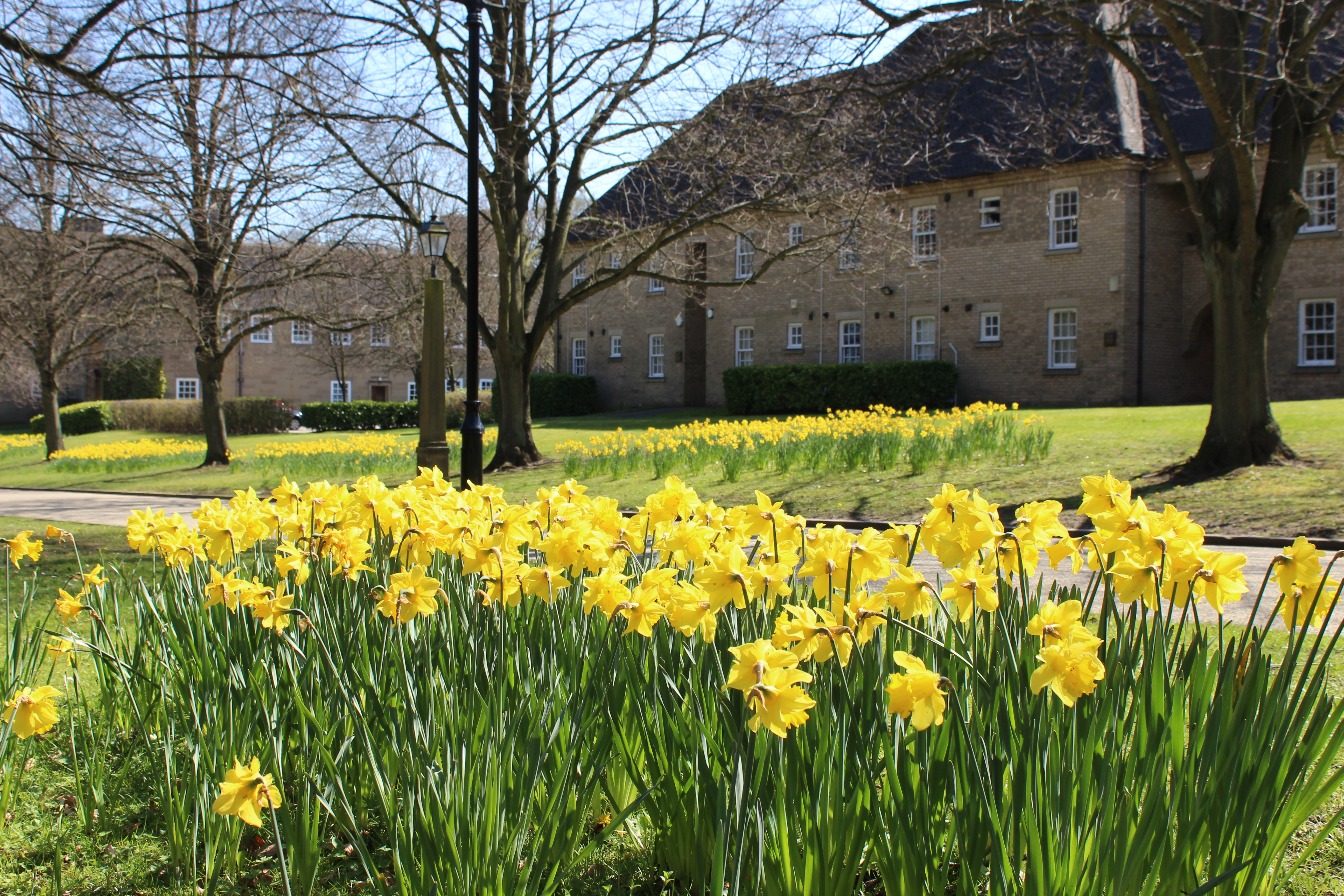 St Mary's College in Spring