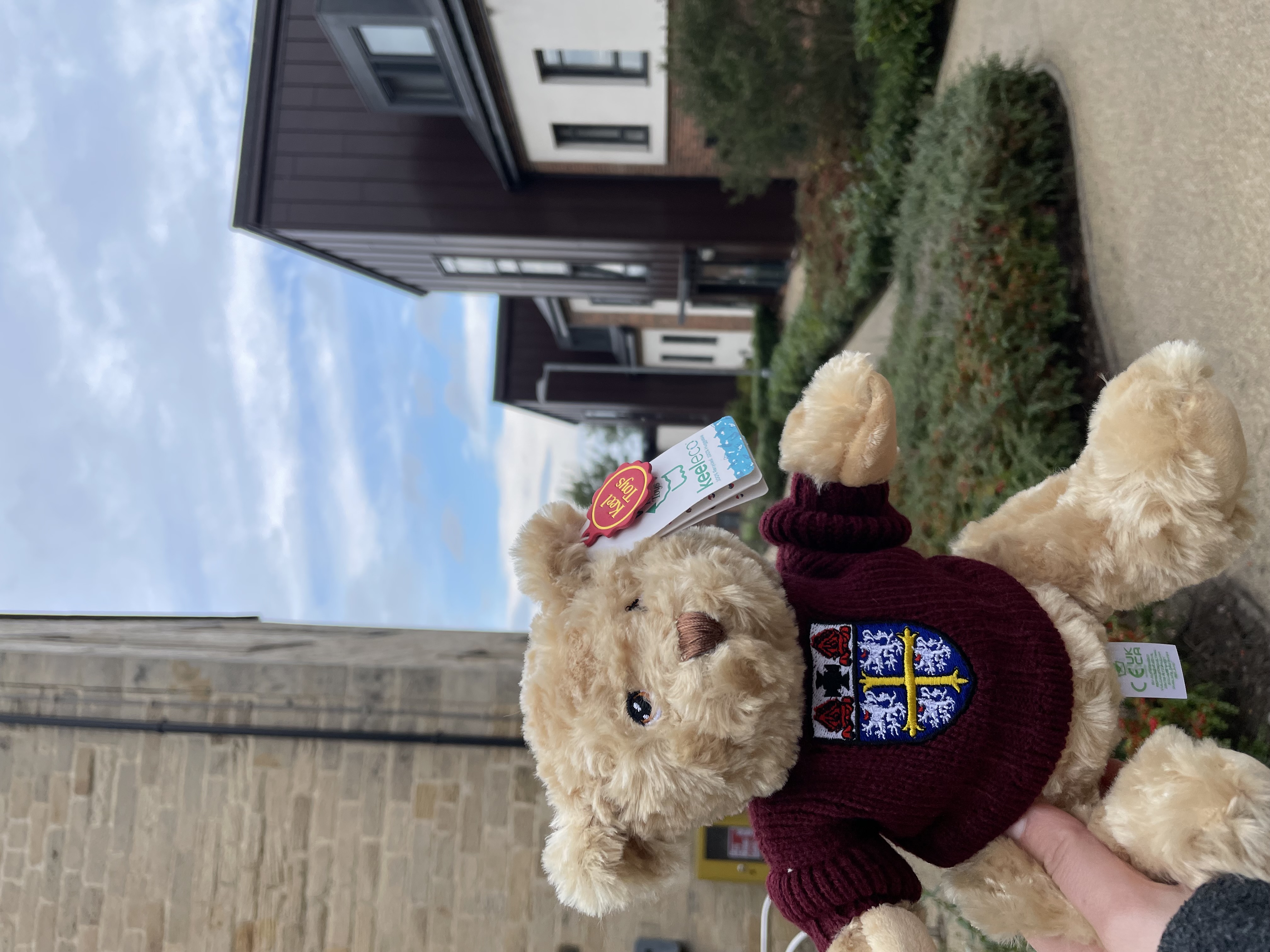 Teddy