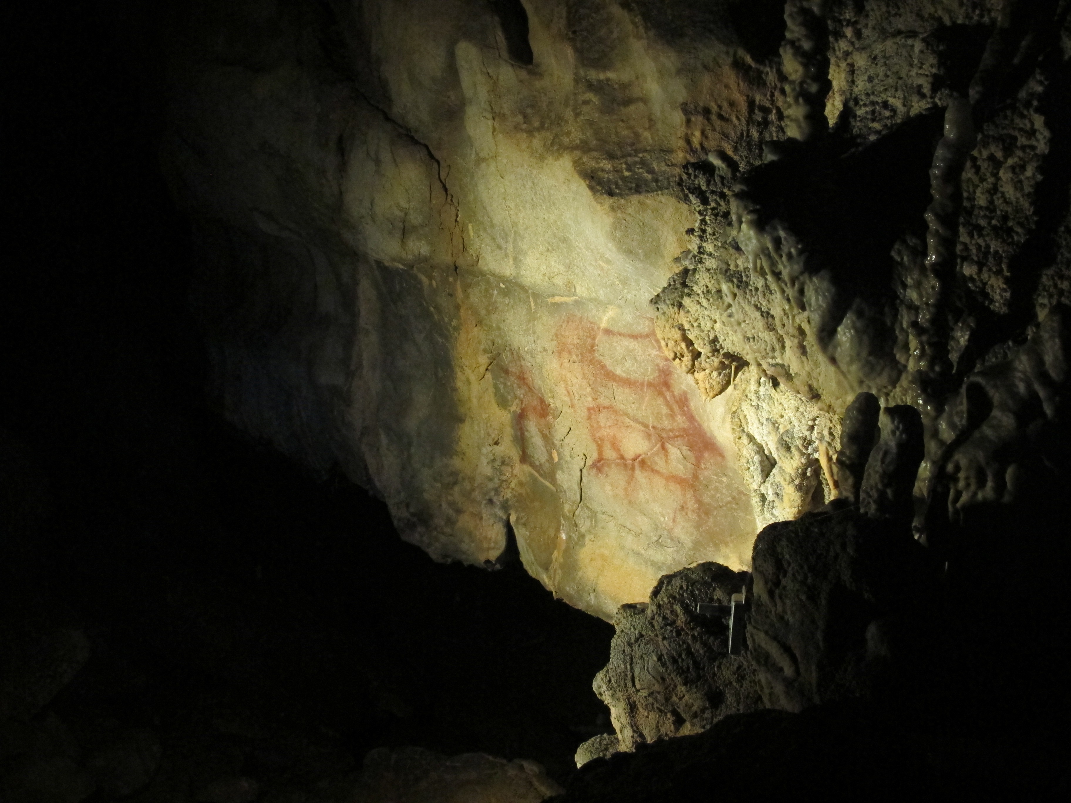 Prehistoric cave art