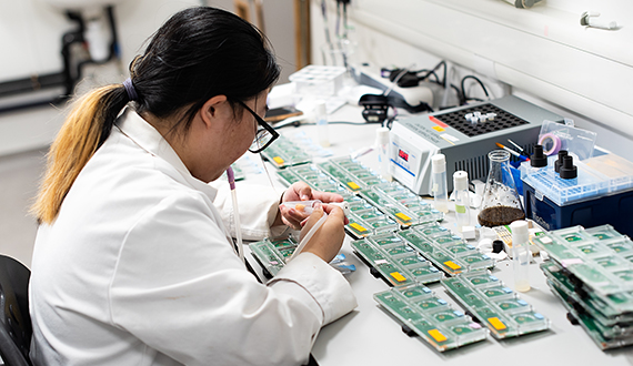 A researcher wearing a lab coat working with drosophila in a laboratory setting