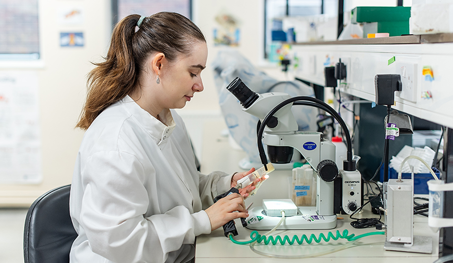 A PhD student in a lab setting, working with a vial of flies at a microscope