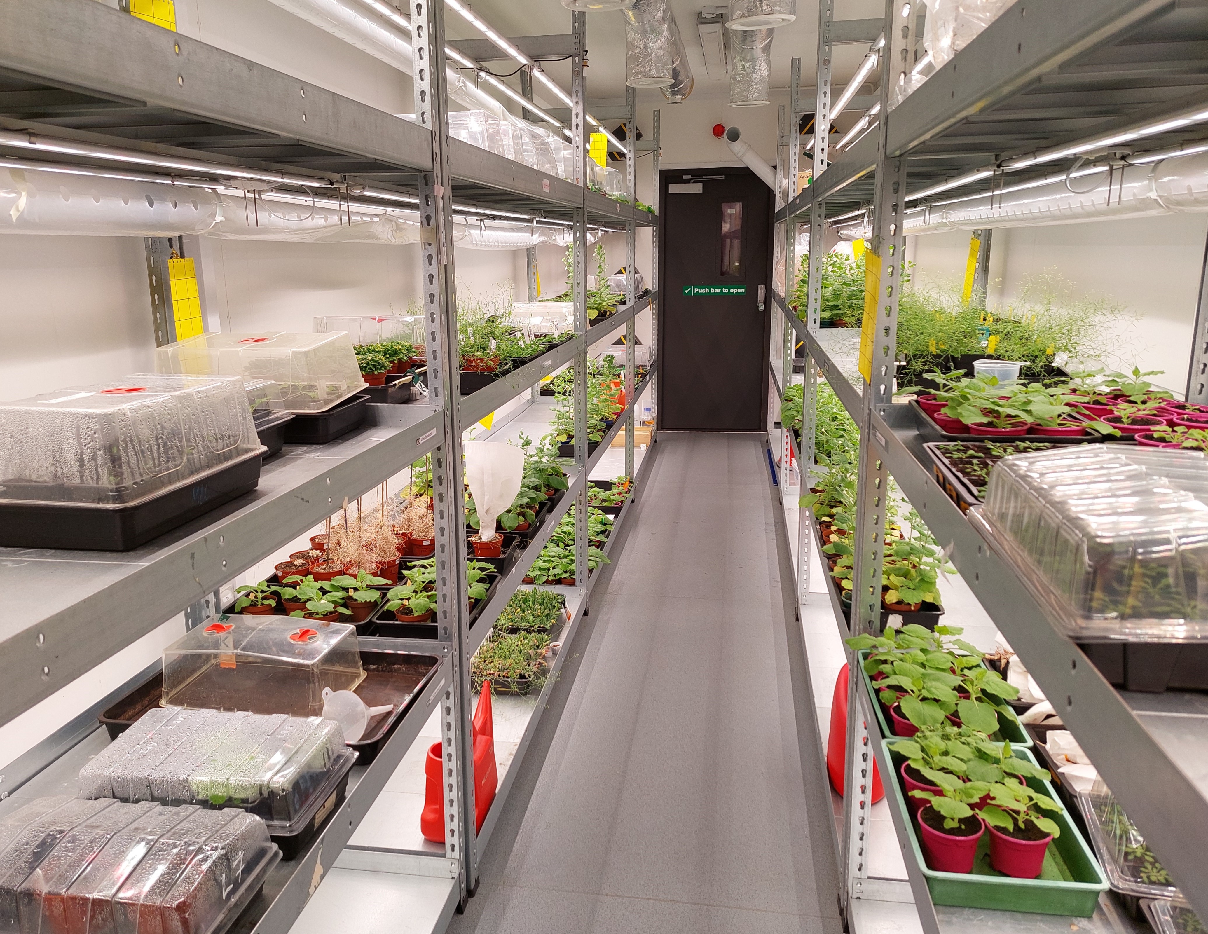 vertical farm