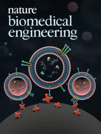 Poster bearing the title Biomedical Engineering and diagrams