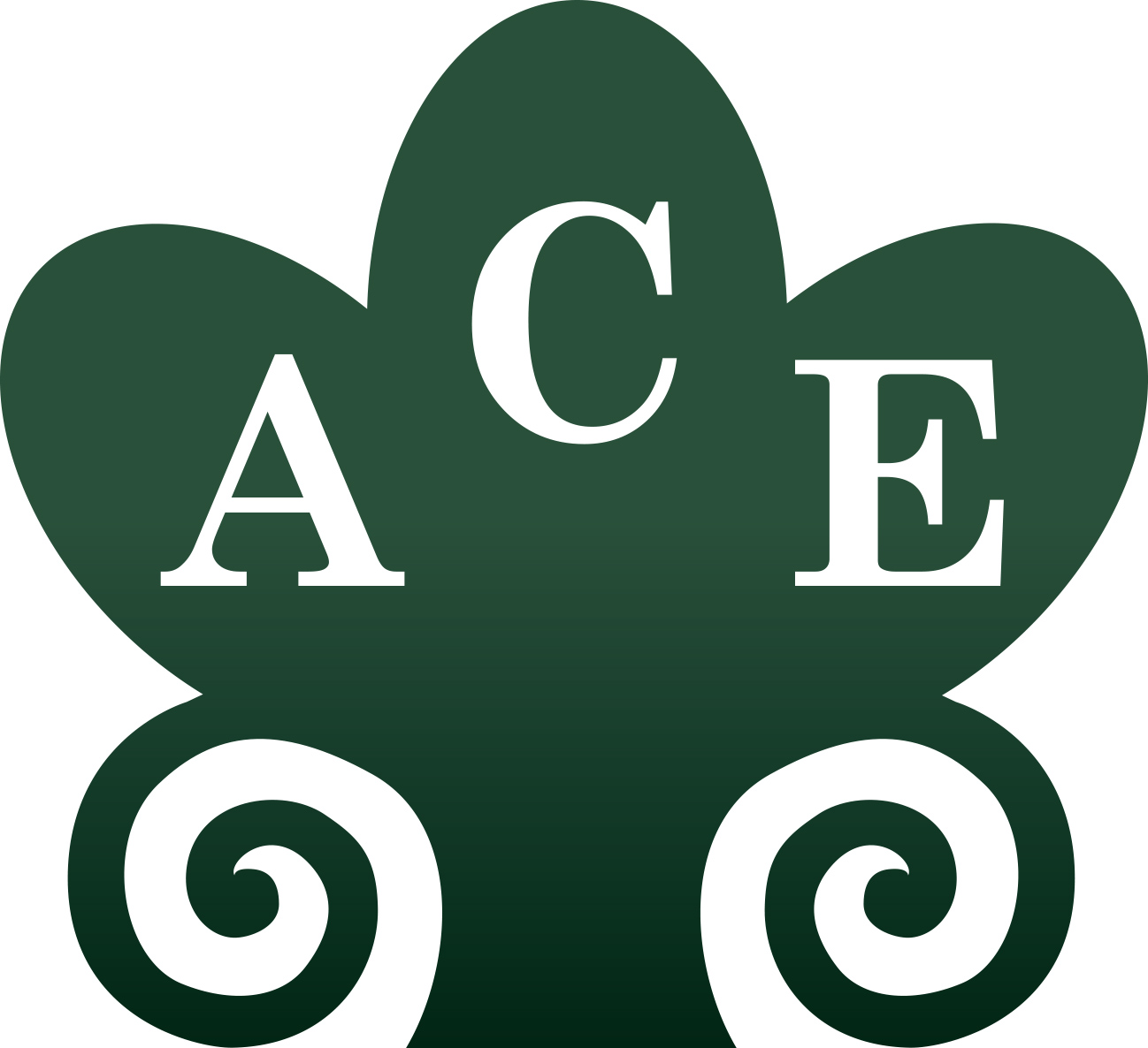 ace logo