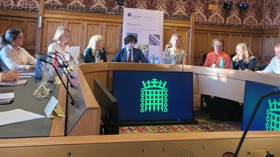 Speakers at the 'Climate and Nature' Parliamentary Round table, Westminster, 8th September 2025