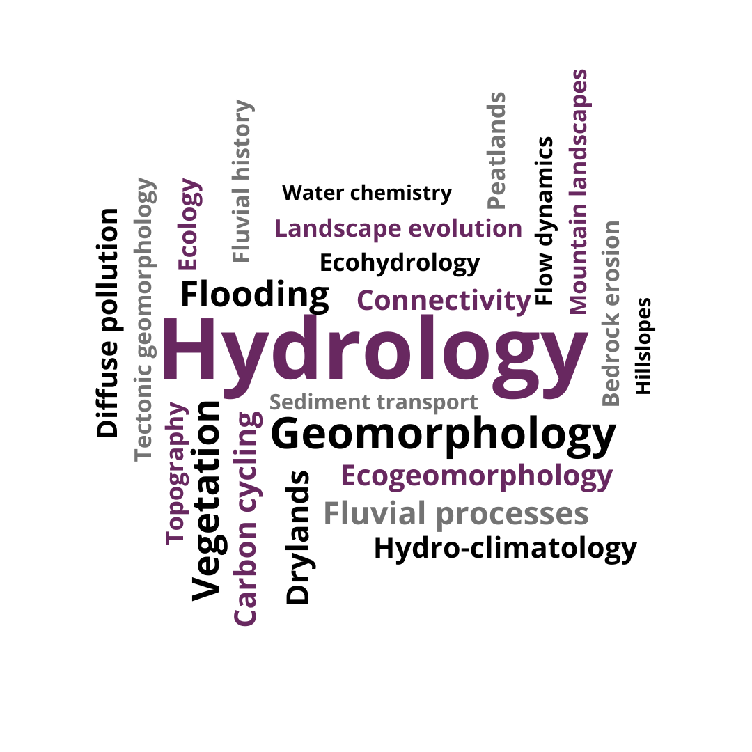 word cloud