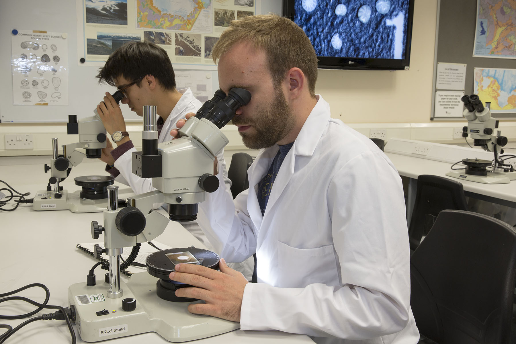 Two people using microscopes