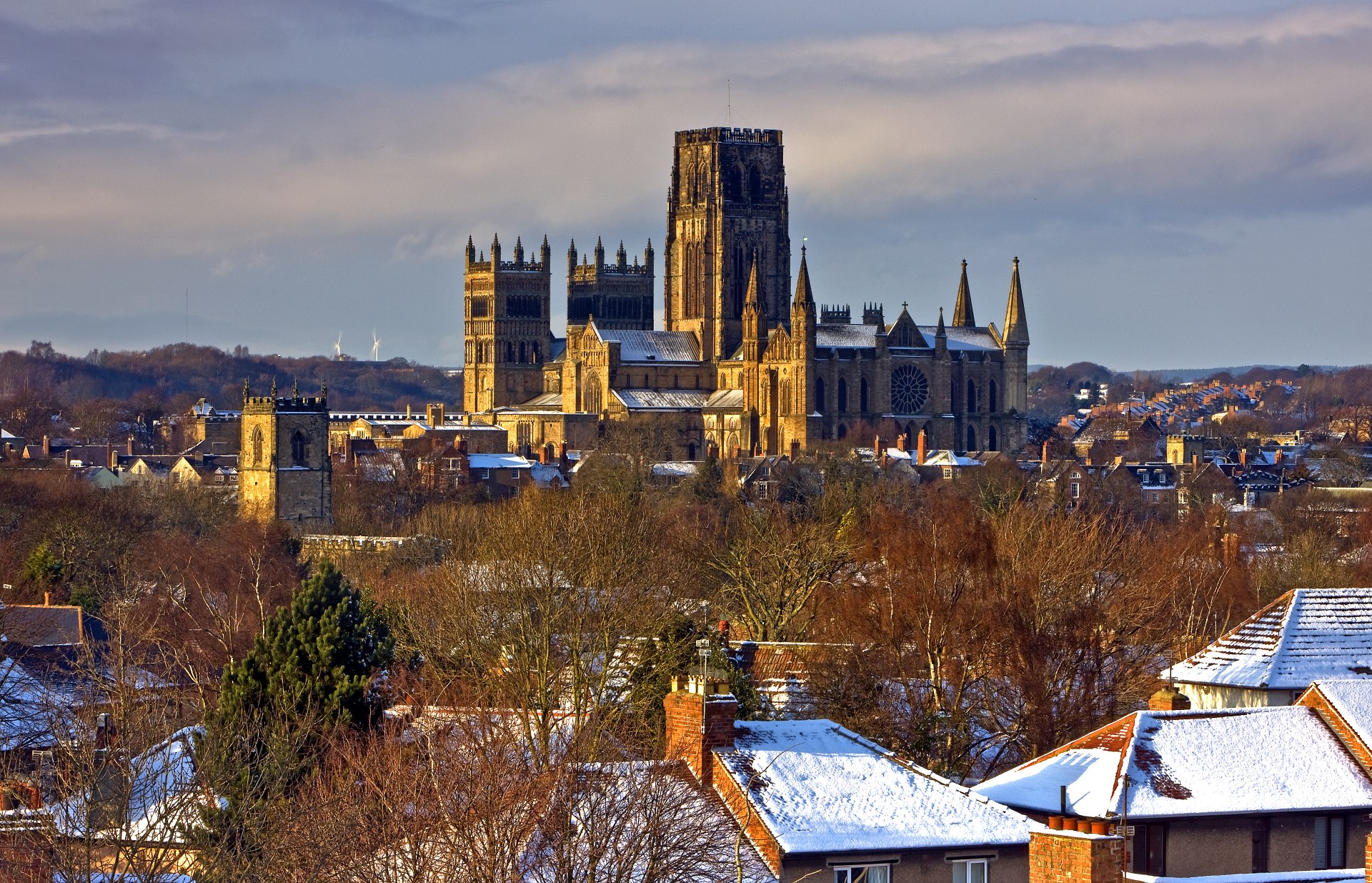 DLSAA March News Letter Cover Image