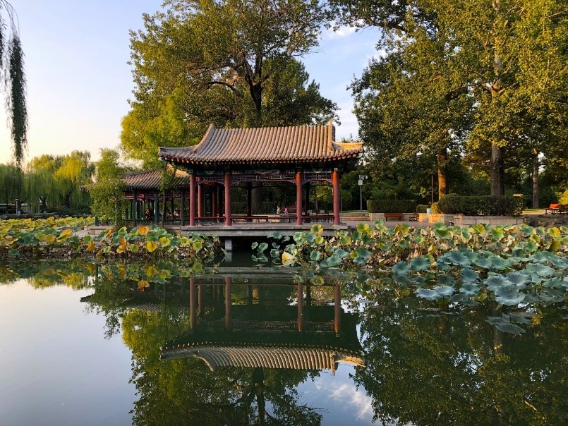 a park in China