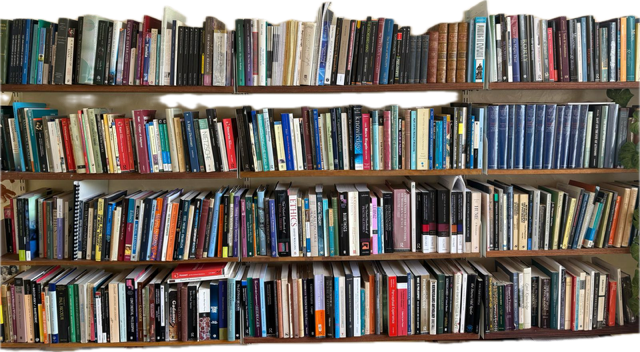 Philosophy Book Case