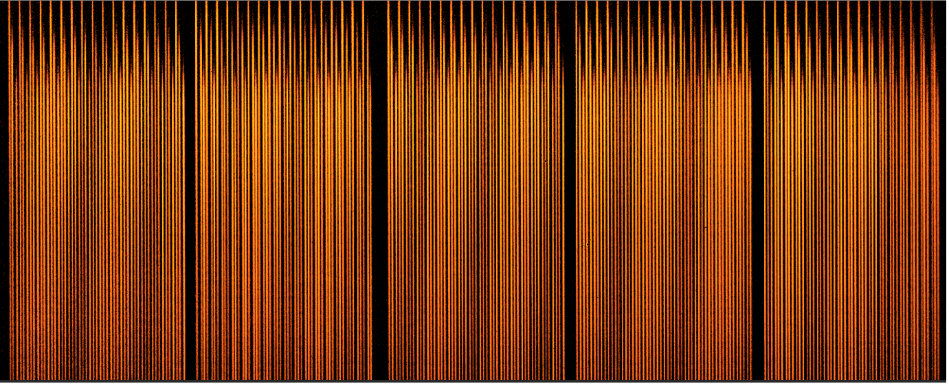 Scales first light spectrum