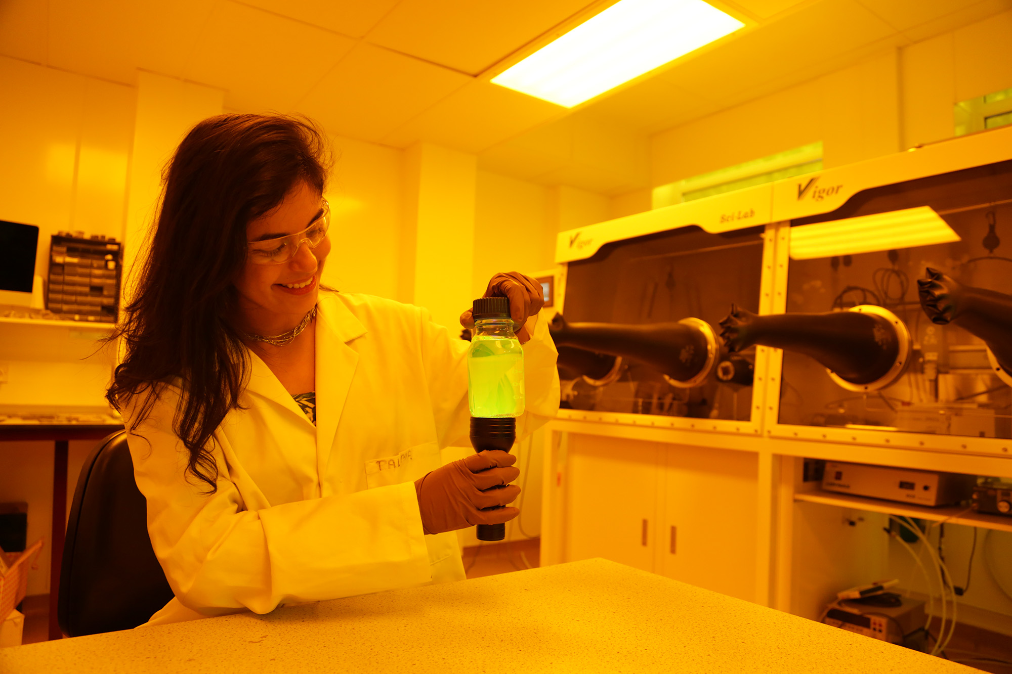 This is the image alt text