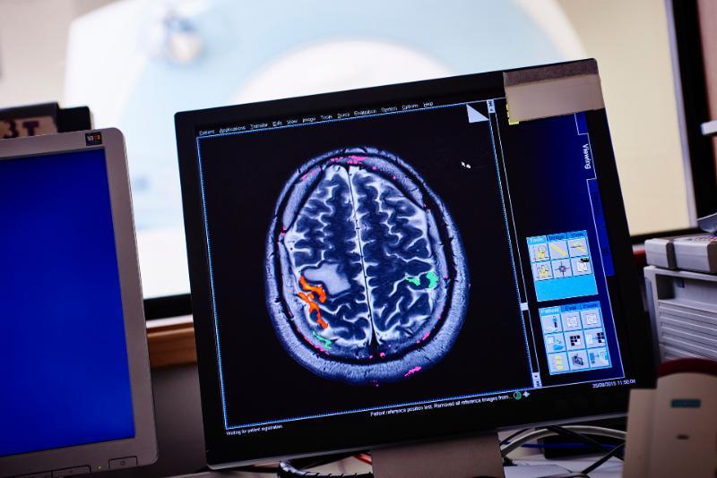 This is the image alt text