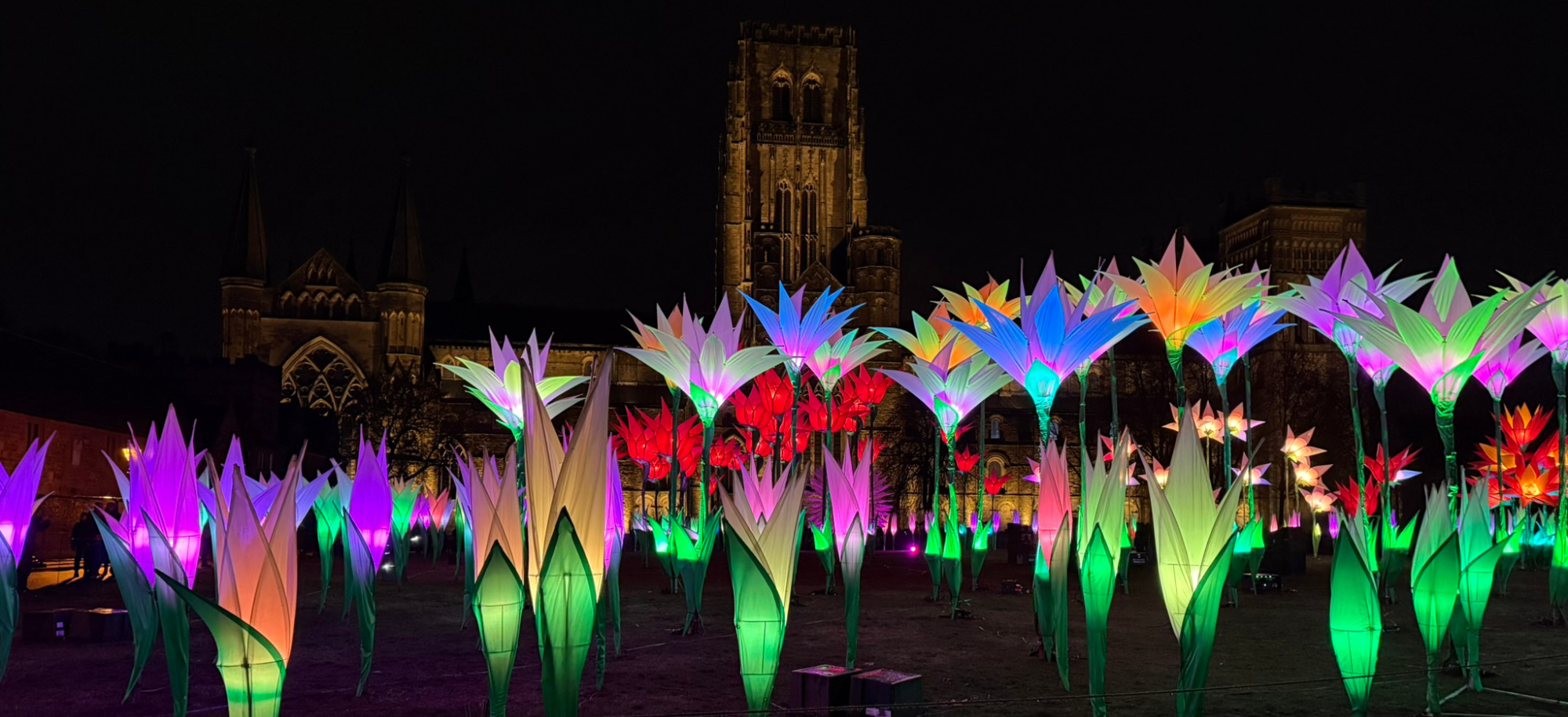 An array of giant, light-up flowers in a variety of colours, with Durham Cathedral and the night sky in the background.