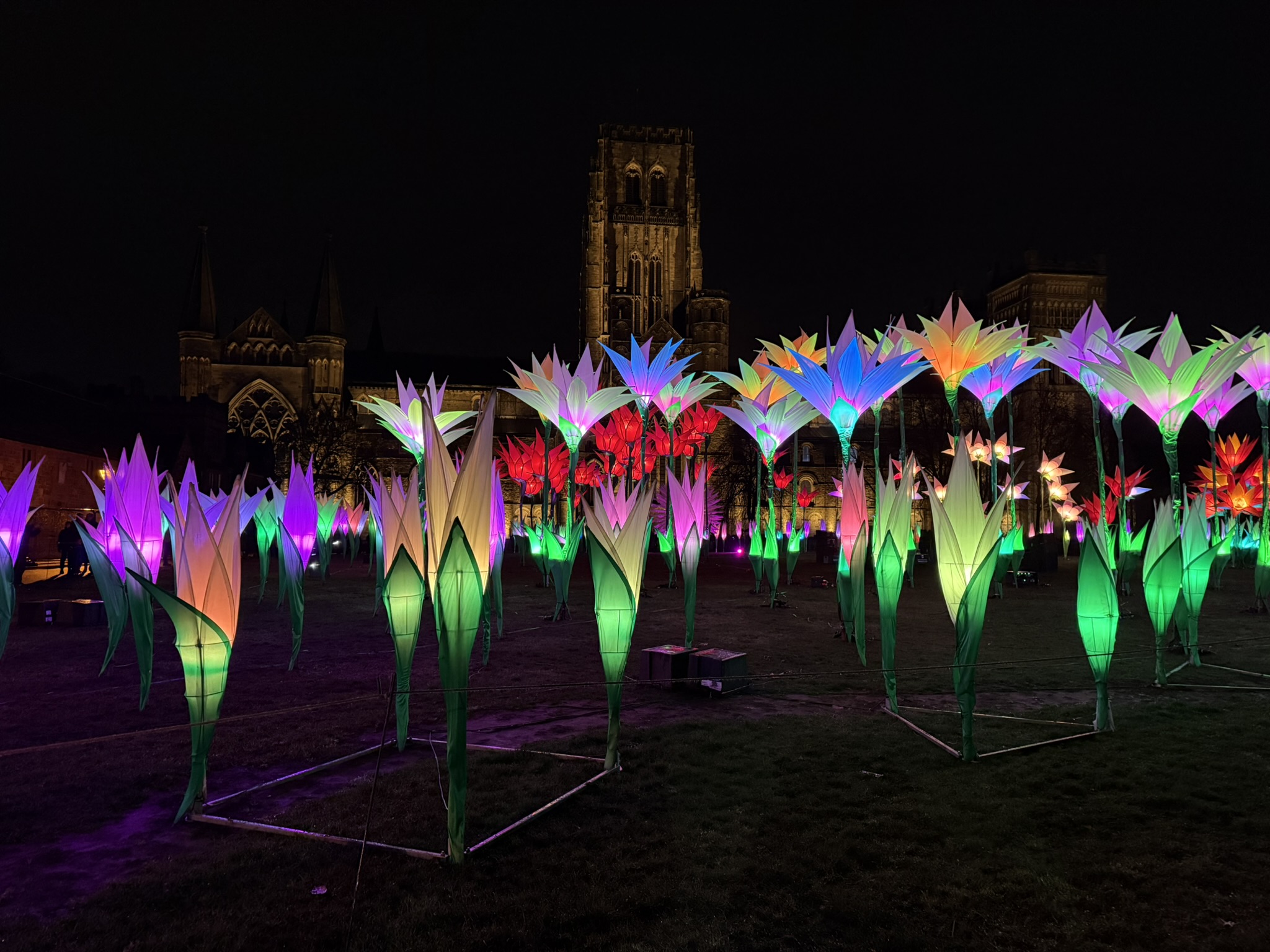 A night-time shot of various giant, illuminated flowers in different colours and shapes with Durham Cathedral in the background.