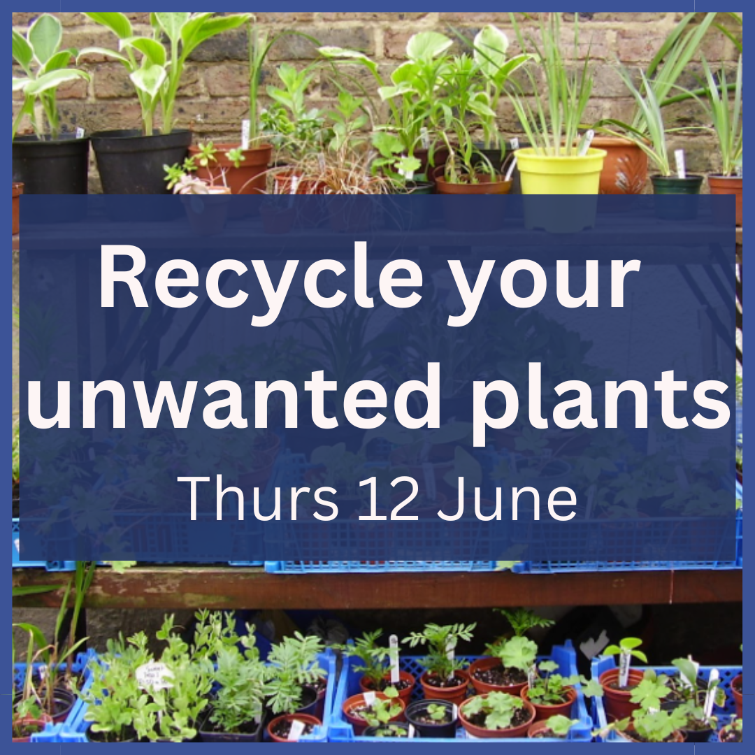 Recycle you unwanted plants 2025