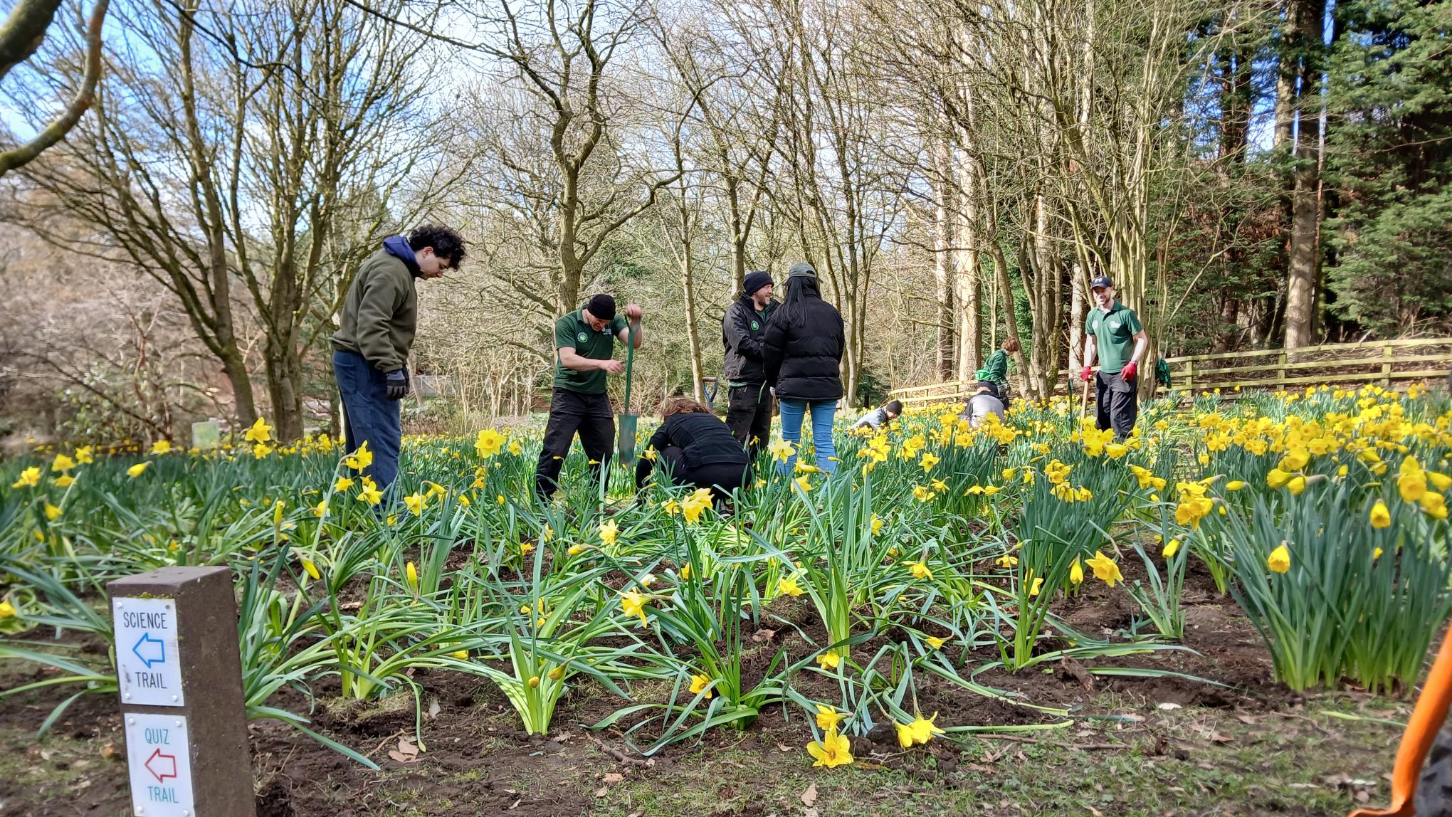Bulb planting March 2026