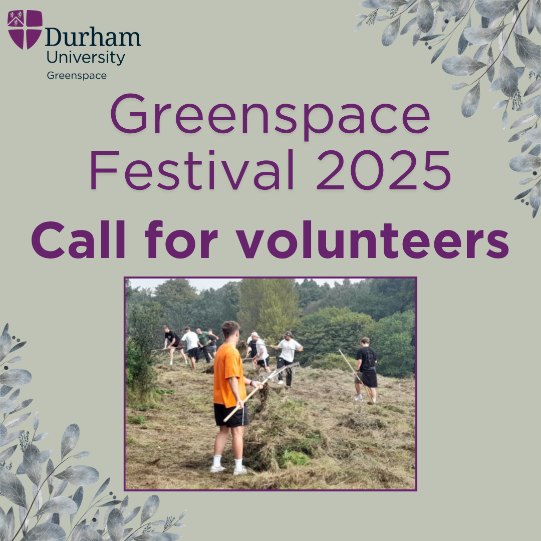 Greenspace Festival 2025 - call for volunteers