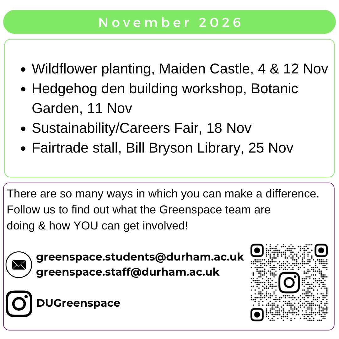 Greenspace Monthly Calendar November 2026.png