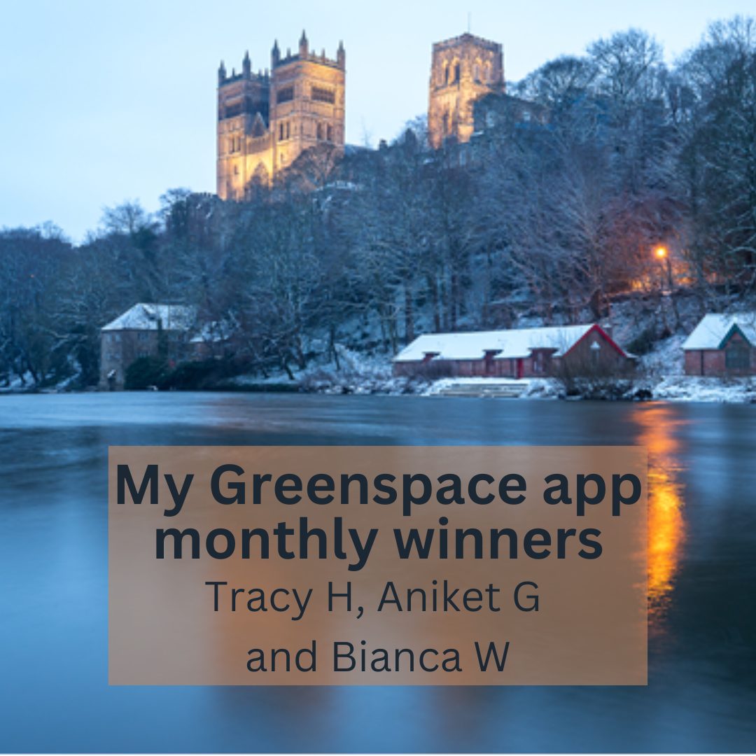 My Greenspace app monthly winners Feb 2026