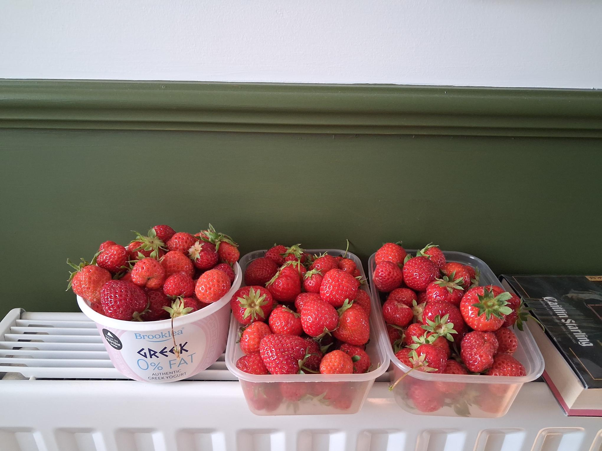 Strawberries June 2026.jpg