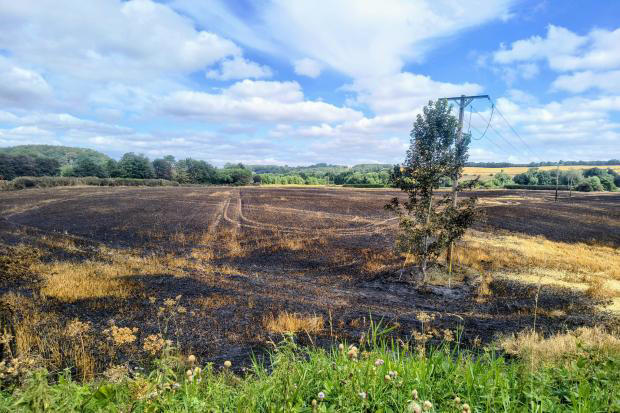 Wildfire Shincliffe Durham July 2026.jpg