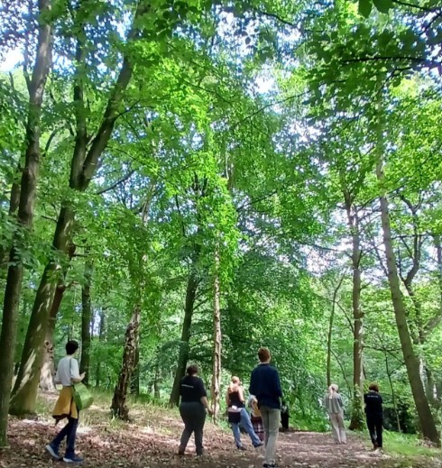 trees.jpg