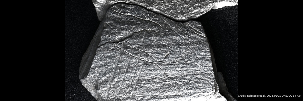 Oldest Engravings Of Fishing Discovered In Ice Age Art | Mirage News