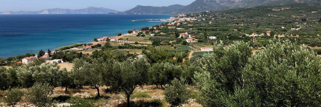 The general landscape of southwest Samos