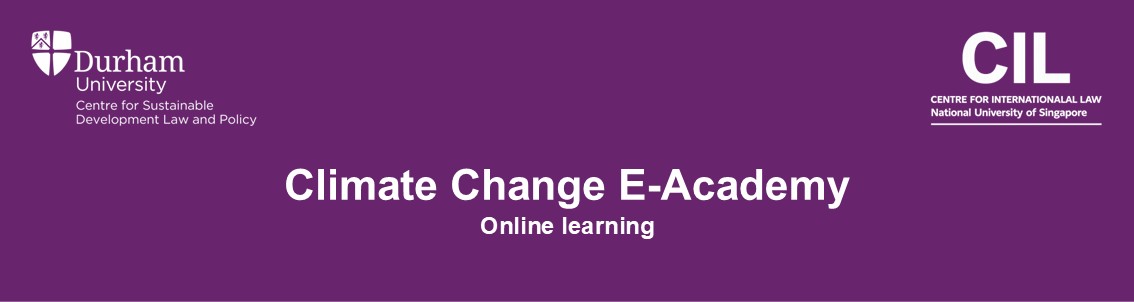 E-Academy